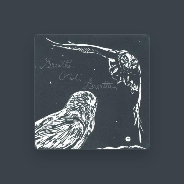 Breathe Owl Breathe