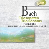 Canonic Variations on Vom Himmel hoch da komm ich her, BWV 769