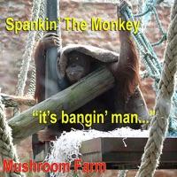 Spankin' the Monkey