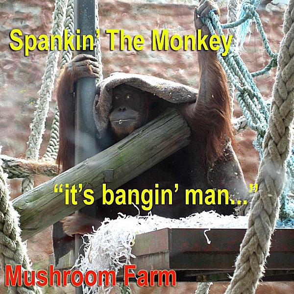 Spankin' the Monkey
