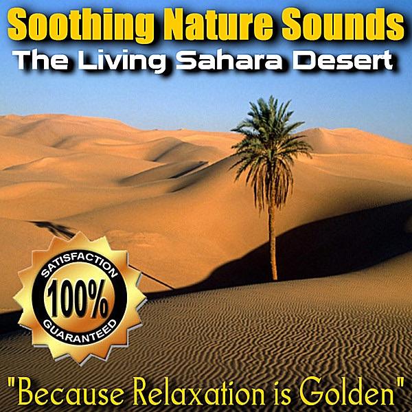 The Sound of the Living Sahara Desert