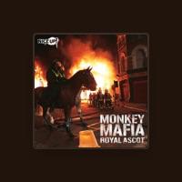 Monkey Mafia