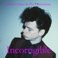 Incorrigible (Original Mix)