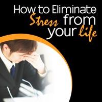 Proven Methods to Reduce Stress