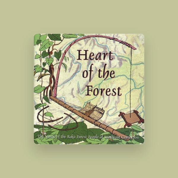 Baka Forest People Of Southeast Cameroon