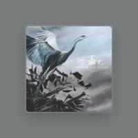 Safire