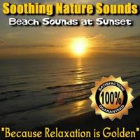 Beach Sounds