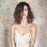 La canzone dell'amore perduto