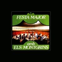 L'orquestra Montgrins