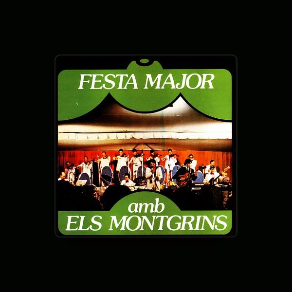 L'orquestra Montgrins