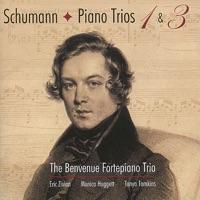 Trio No. 1 in D Minor, Op. 63 : IV. Mit Feuer