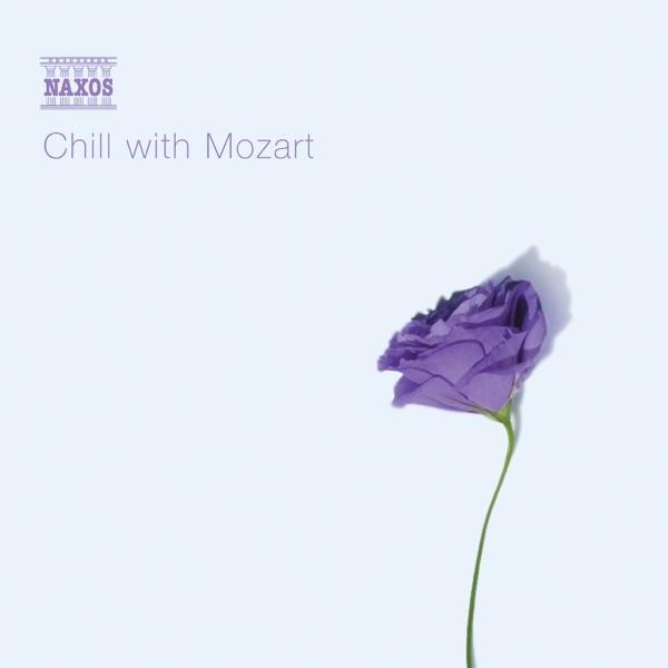 String Quintet in D major, K. 593: Larghetto - Allegro