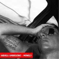Monkey (Sergio Sergi Remix)