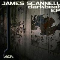 Noise Collector (Original Mix)