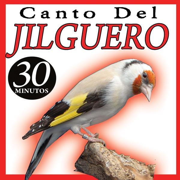 Canto Del Jilguero (I) Campero Silvestrismo