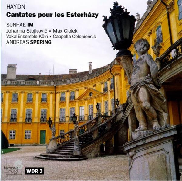Symphony No.12 In e Major, Hob.I:12: III. Finale Presto
