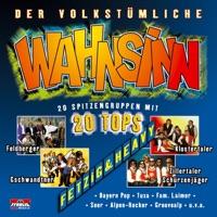 Rock 'n' Roll Und Volxmusik