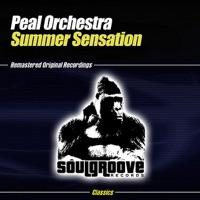 Summer Sensation (Stylish Mix)