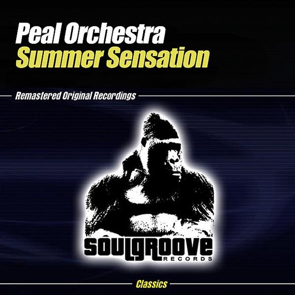 Summer Sensation (Back2Dub)
