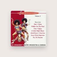The Broadway Theatre Orchestra