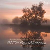 Sensommarnätter, Op. 33: V. Poco allegretto