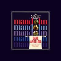 Dave Apollon