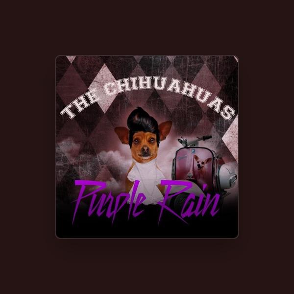 The Chihuahuas