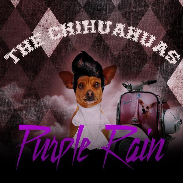 Purple Rain