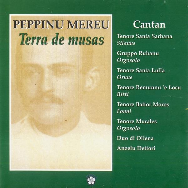 S'ambulante Tonaresu