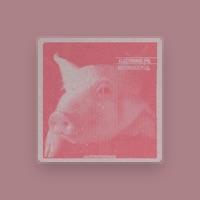 Electronic Pig