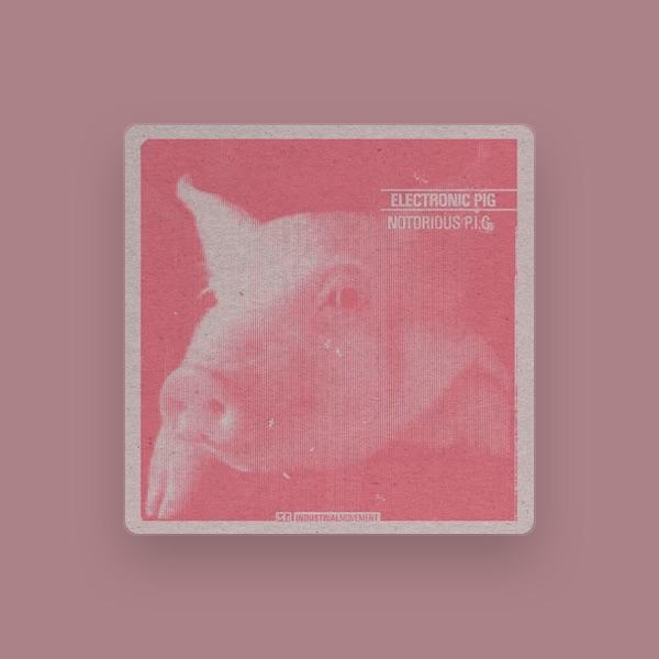 Electronic Pig