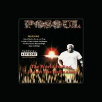Posoul
