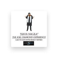THE JOEL DIAMOND EXPERIENCE