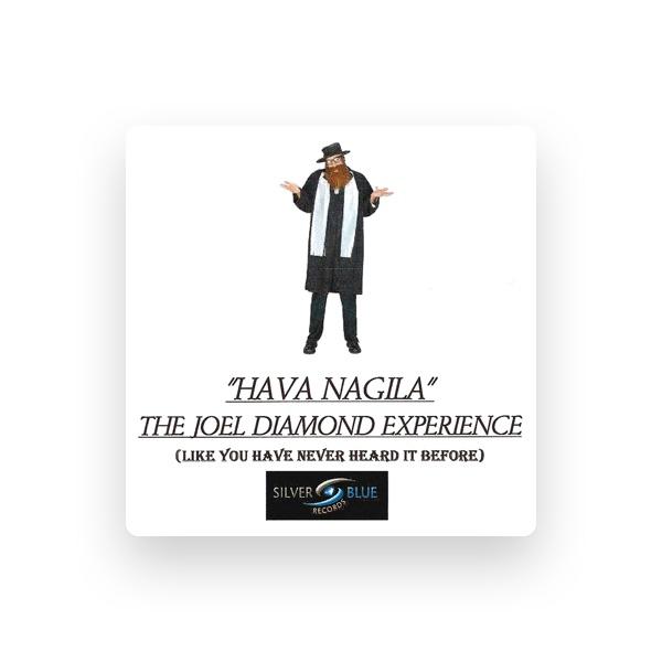 THE JOEL DIAMOND EXPERIENCE