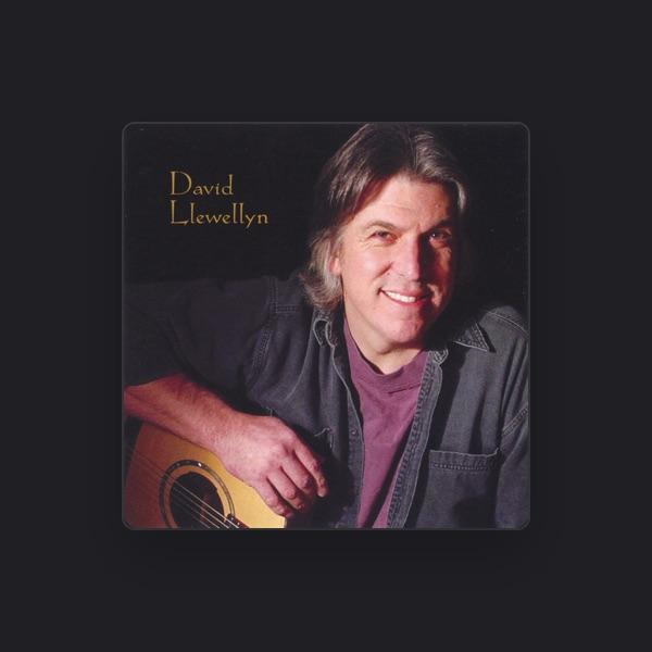 David Llewellyn