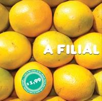 A Ciranda Continua 2