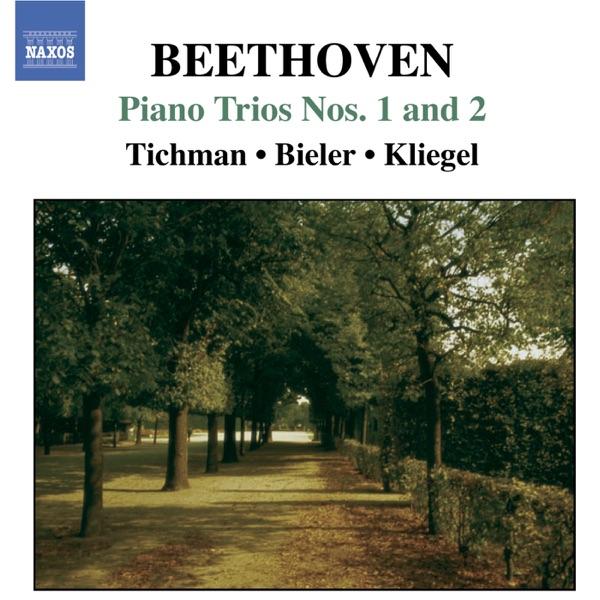Piano Trio No. 1 in E Flat Major, Op. 1, No. 1: III. Scherzo - Allegro Assai
