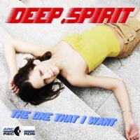 The One That I Want (Chris Cute Radio Edit)