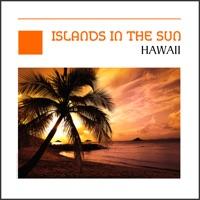 Hawaii Farewell