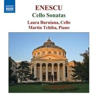 Cello Sonata in C Major, Op. 26, No. 2: II. Allegro agitato, non troppo mosso