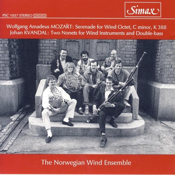 "Night Music", Nonet for Eight Wind Instruments and Double-Bass No. 2, Op. 57, 10: Allegro Molto