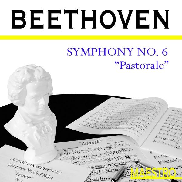Symphony No. 6 In F Major ("Pastoral"), Op. 68, Allegro