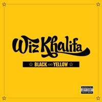 Black and Yellow (feat. T-Pain)