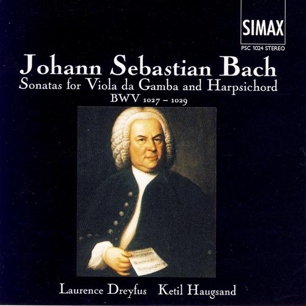 Sonata for Viola Da Gamba and Harpsichord, G Major: 3. Andante