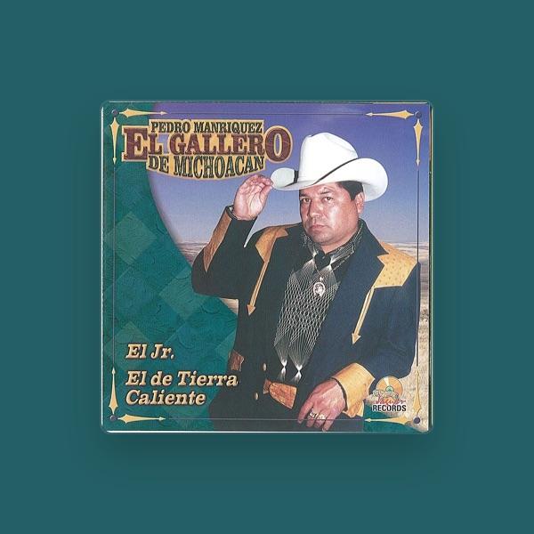 El Gallero De Michoacan