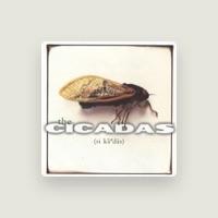 The Cicadas