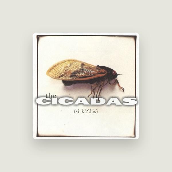 The Cicadas