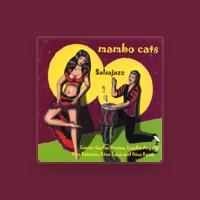 Mambo Cats
