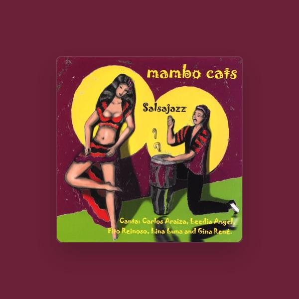 Mambo Cats
