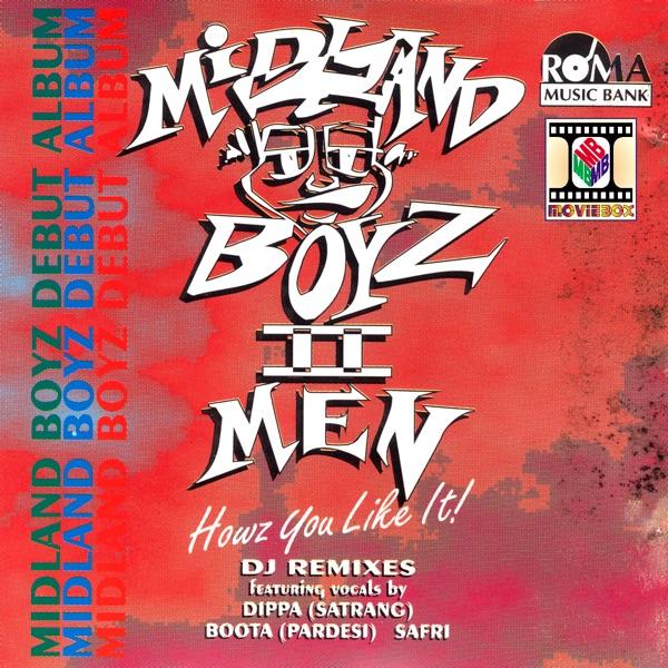 Mr Mirza Dub (Instrumental)